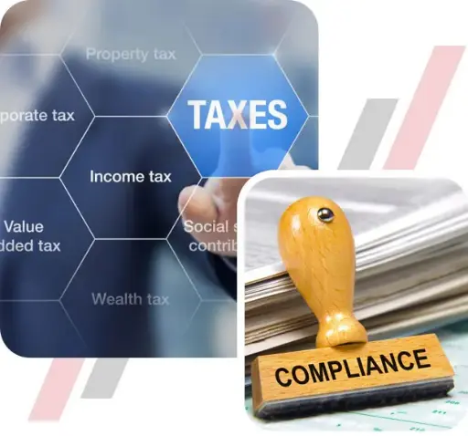 Tax Compliance Services – Annual Plan